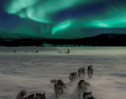 Svalbard i zorza polarna